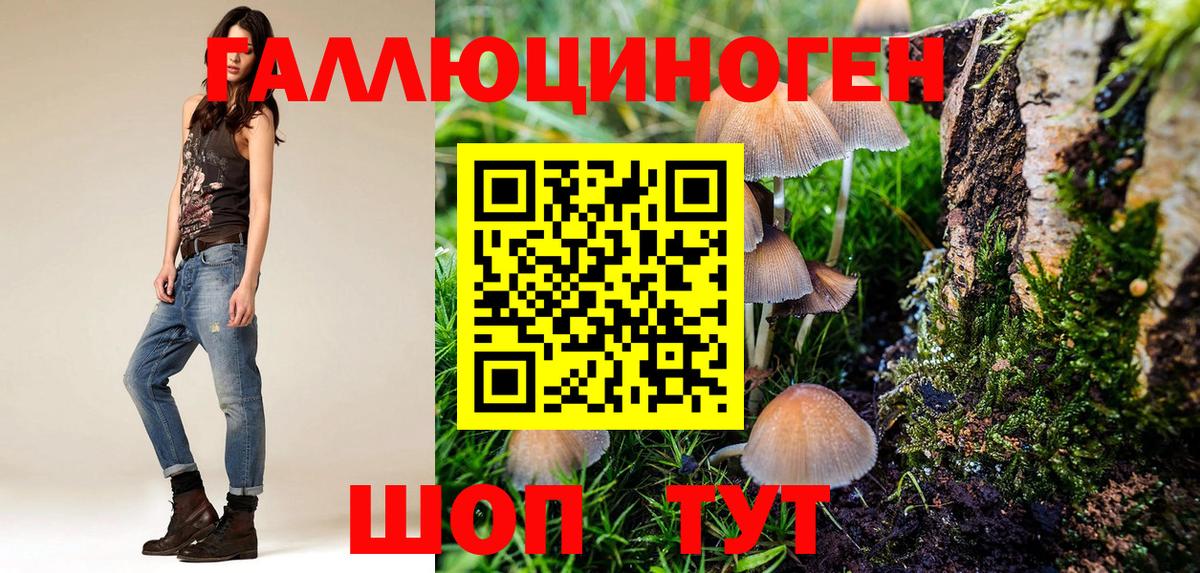 Псилоцибиновые грибы Psilocybe  Вход с VPN  Зерноград  где можно купить   Псилоцибиновые грибы Magic Shrooms 